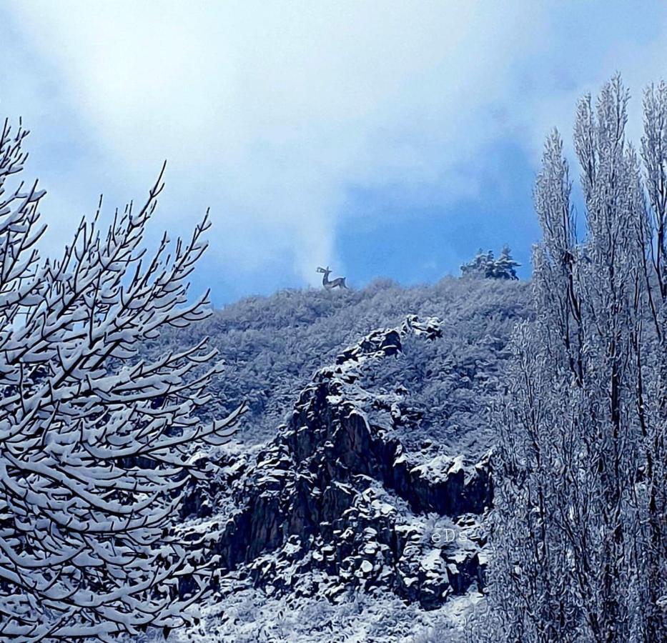 Hasi Hotel Jermuk Esterno foto